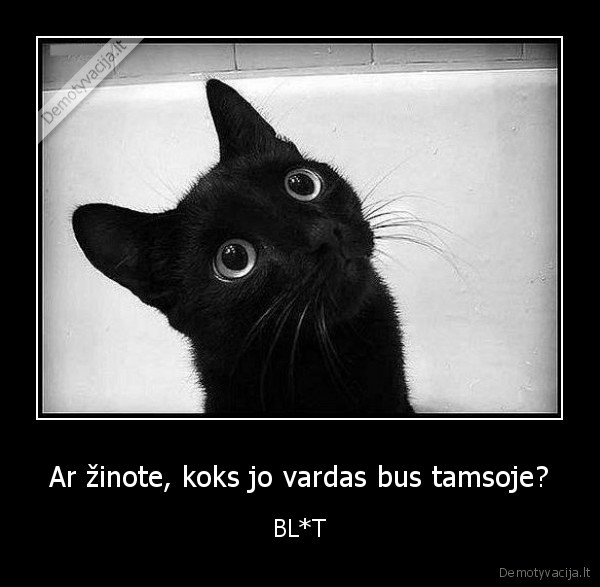 blet,vardas,katinas