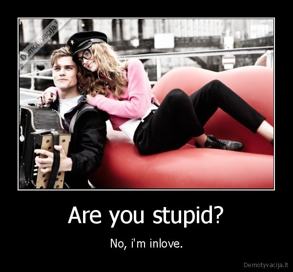 Are you stupid?