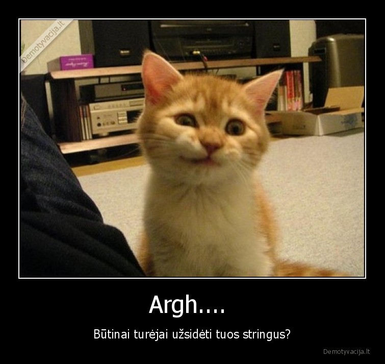 stringai,mergina,katinas,reakcija