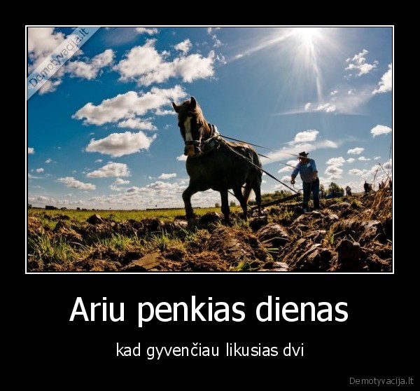 Ariu penkias dienas