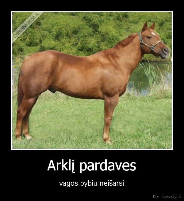 gyvunai