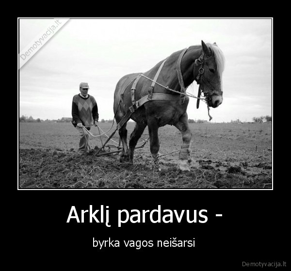 Arklį pardavus -