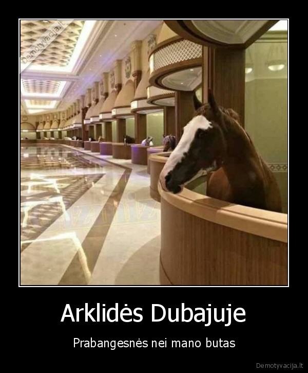 arklides,marmuras