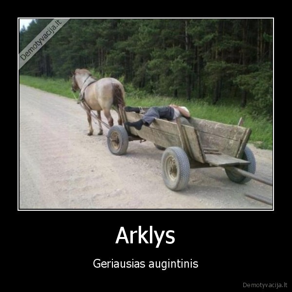 Arklys