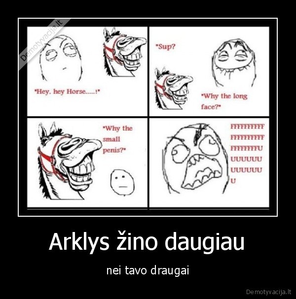 Arklys žino daugiau