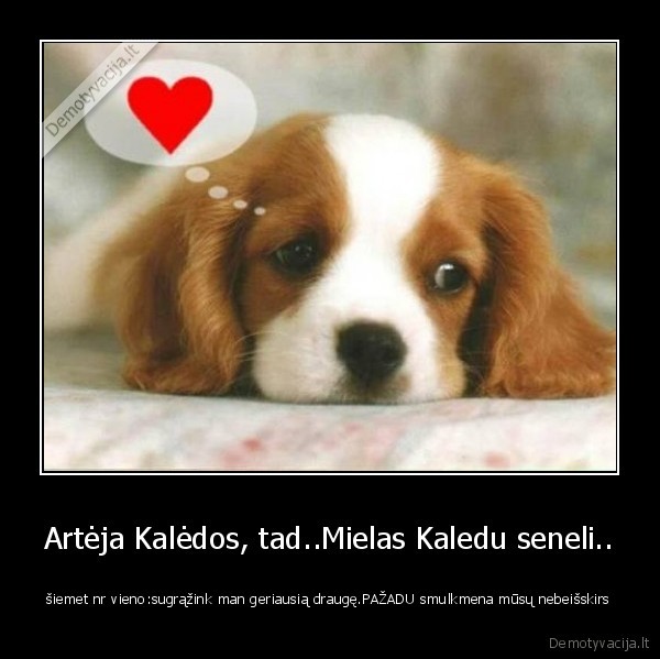 Artėja Kalėdos, tad..Mielas Kaledu seneli..
