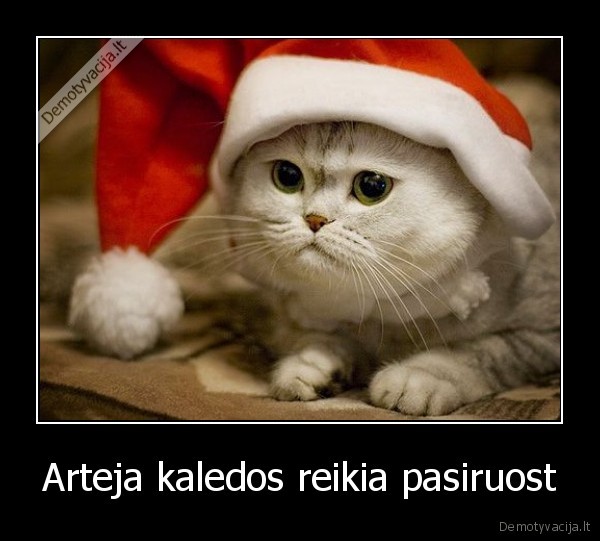 Arteja kaledos reikia pasiruost