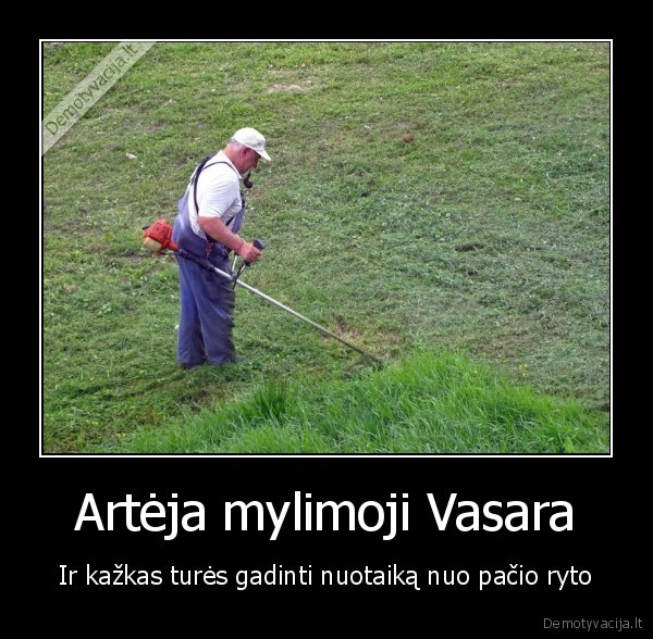 pjauna, zole, vasara, rytas, noriu, miego, ko, cia, birbini