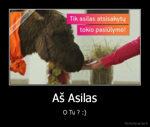 asilu, gimes,arkliu, netapsi