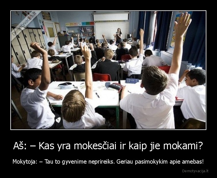 svietimo, sistema,mokslai