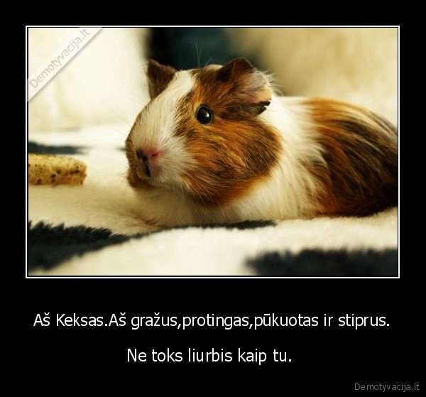 keksas,fainas