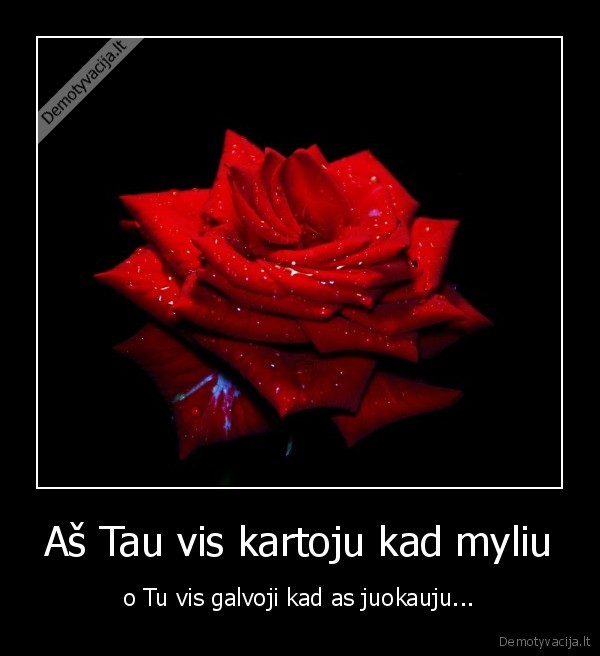 myliu,tave,katine