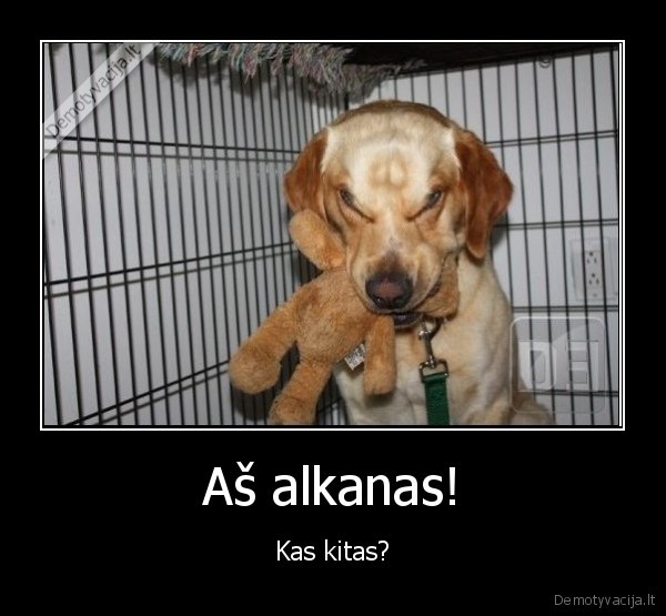 Aš alkanas!