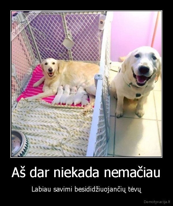 tevai,sunys,laimingi