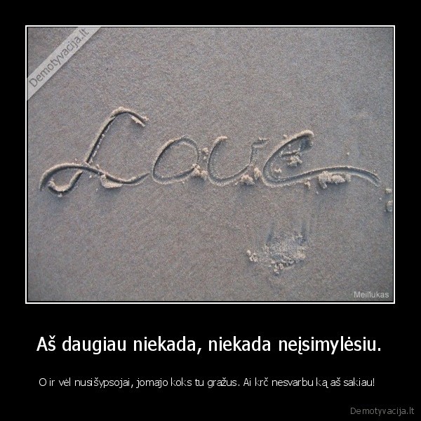 Aš daugiau niekada, niekada neįsimylėsiu.