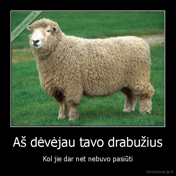 avis,kailis,vilna