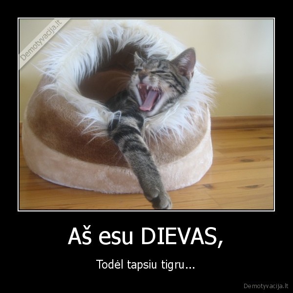 katinas,tigras