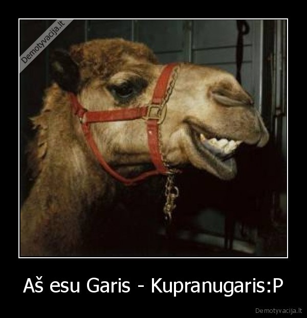 gariukasp