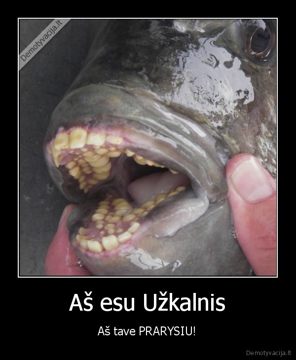 uzkalnis