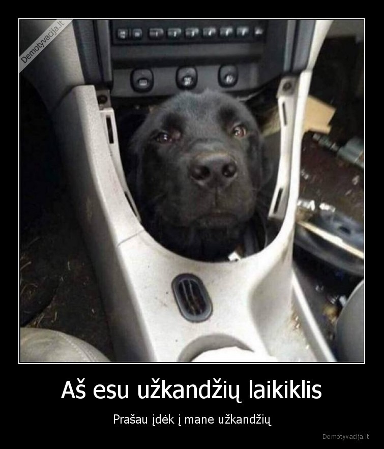 suo,masina