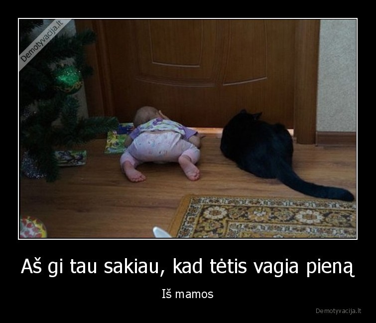 katinas,vaikas,samokslas
