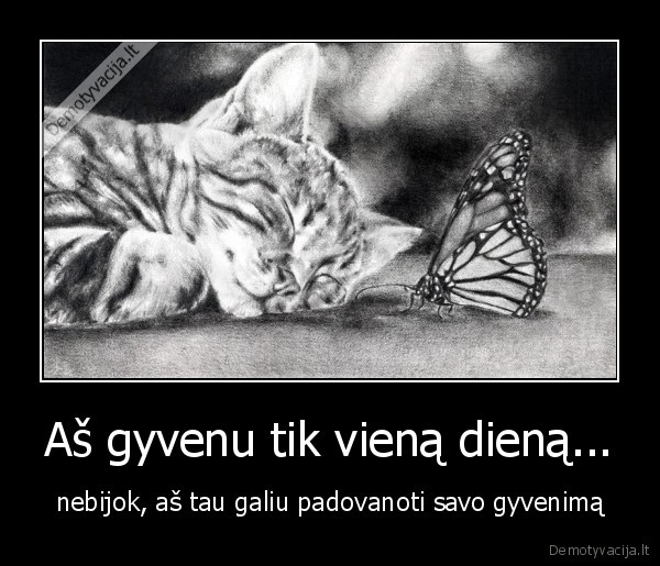Aš gyvenu tik vieną dieną...