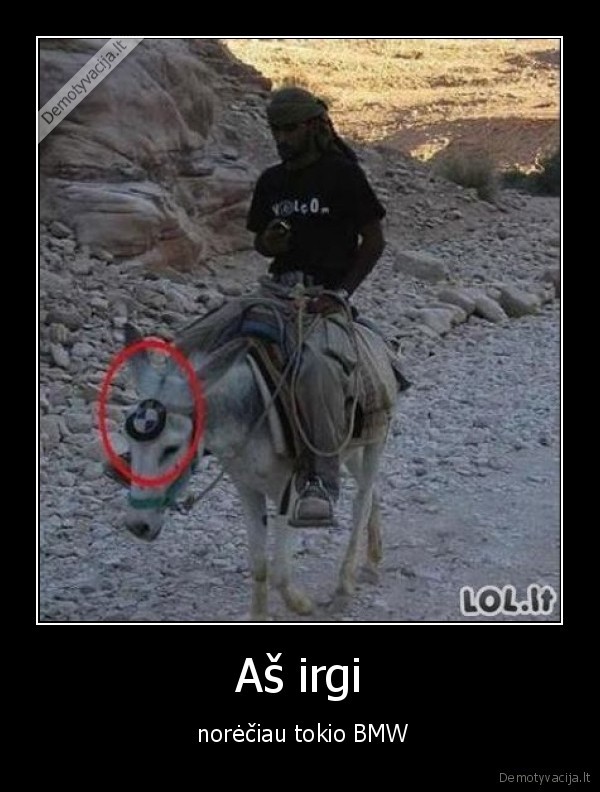 Aš irgi