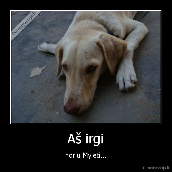 Aš irgi