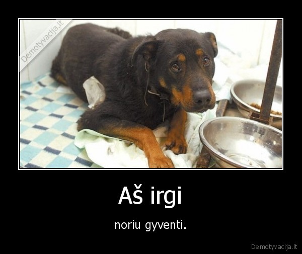 Aš irgi