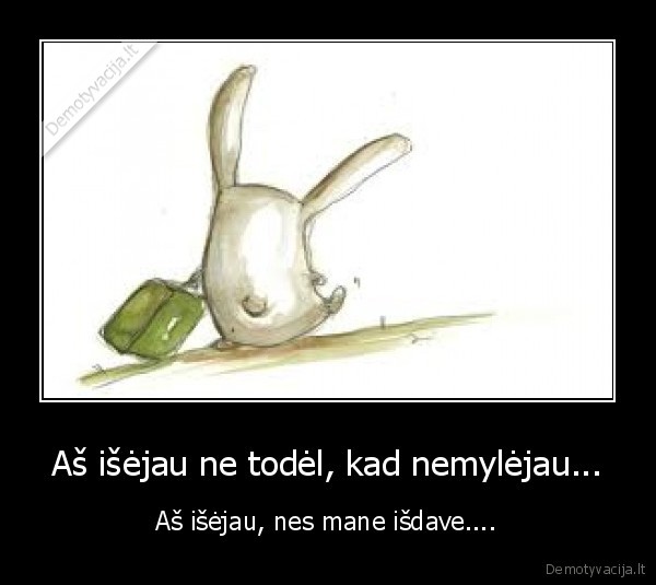 Aš išėjau ne todėl, kad nemylėjau...