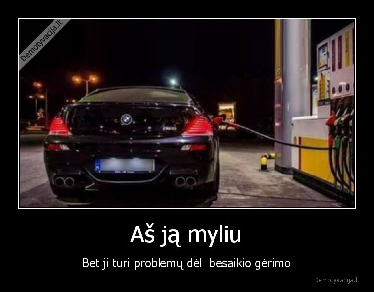 daug, ryja,bmw