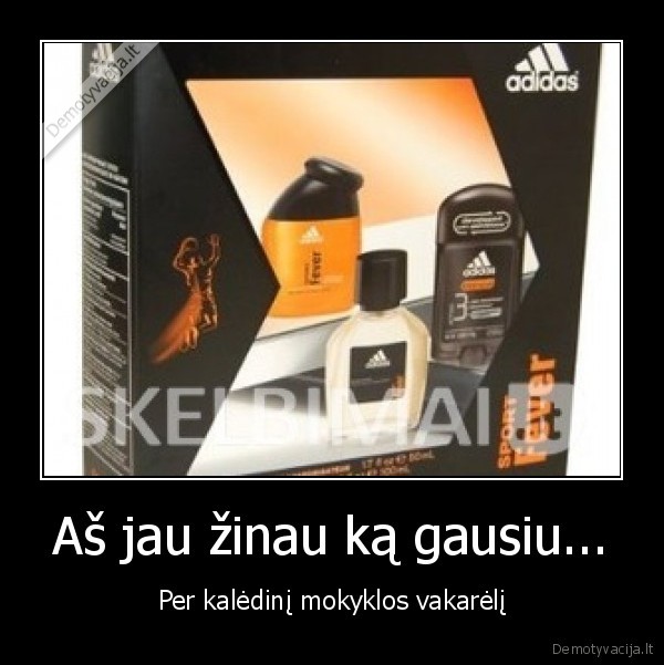 kaip, ir, kiekvienais, metais