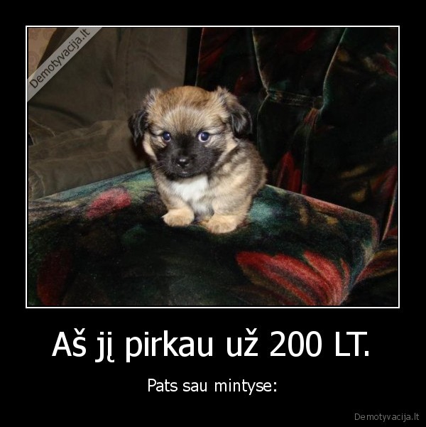 Aš jį pirkau už 200 LT.