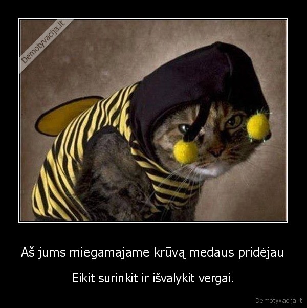 katinas,bite,medus