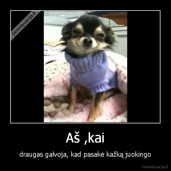 Aš ,kai