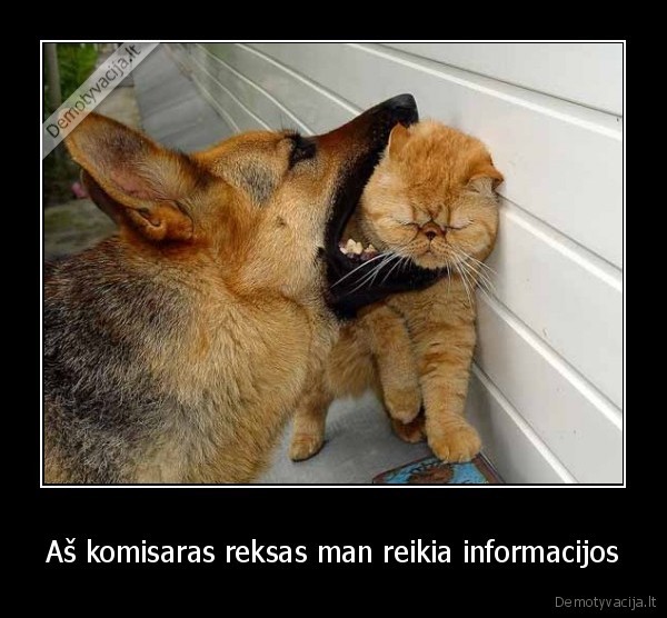 Aš komisaras reksas man reikia informacijos