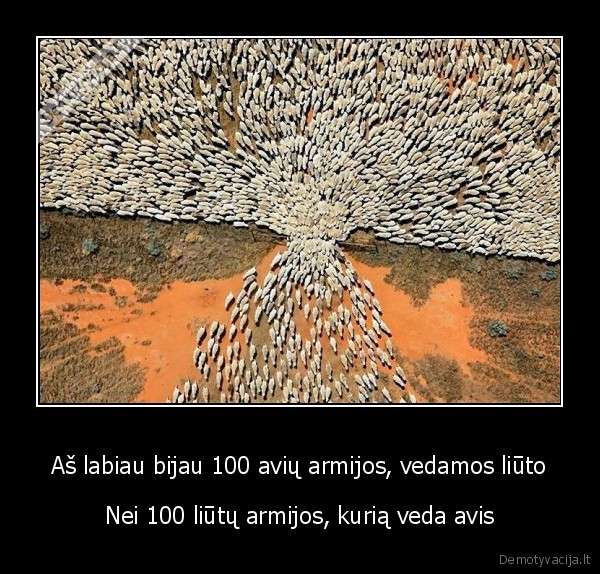 armija,baimes,lyderis