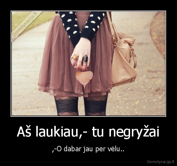 Aš laukiau,- tu negryžai