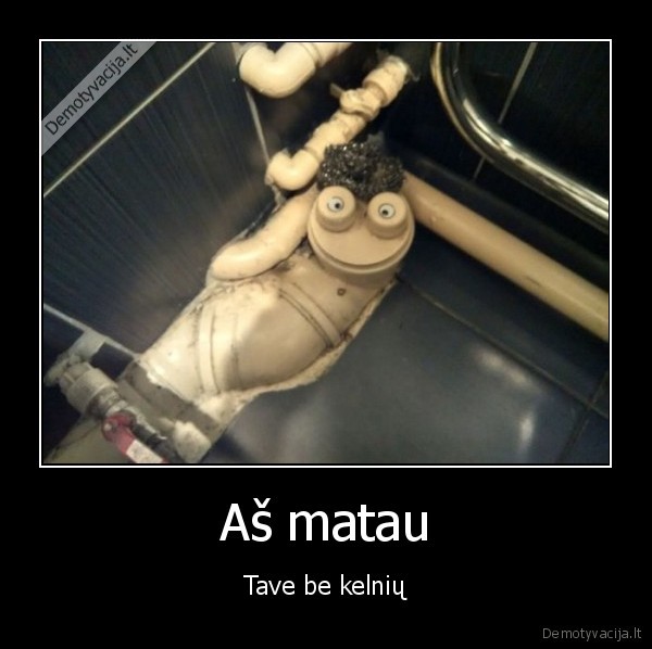 vamzdis,tualetas