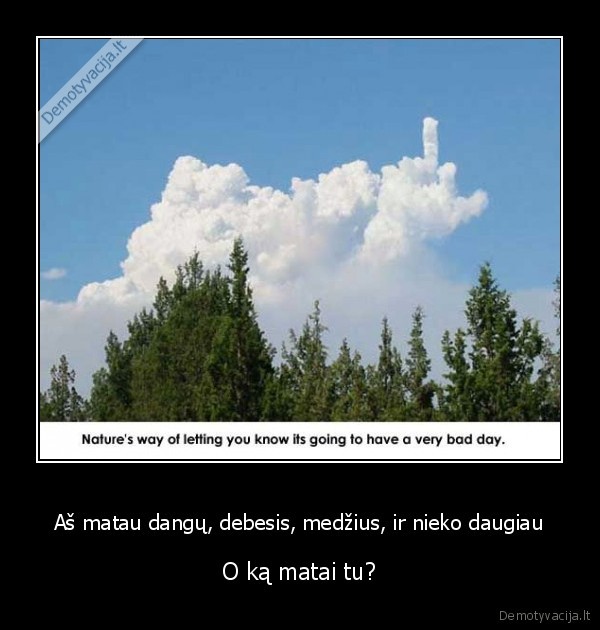 Aš matau dangų, debesis, medžius, ir nieko daugiau