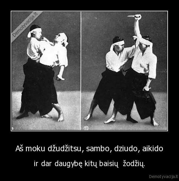 zodziai,dziudo,aikido