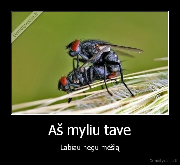 Aš myliu tave