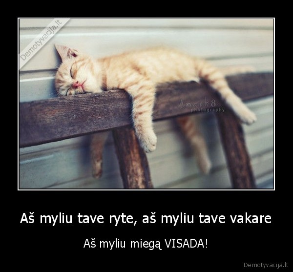 miegas,meile,miegoti,vakare,ryte