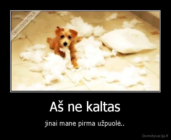 pagalve,suo