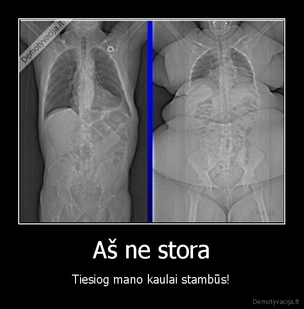 Aš ne stora