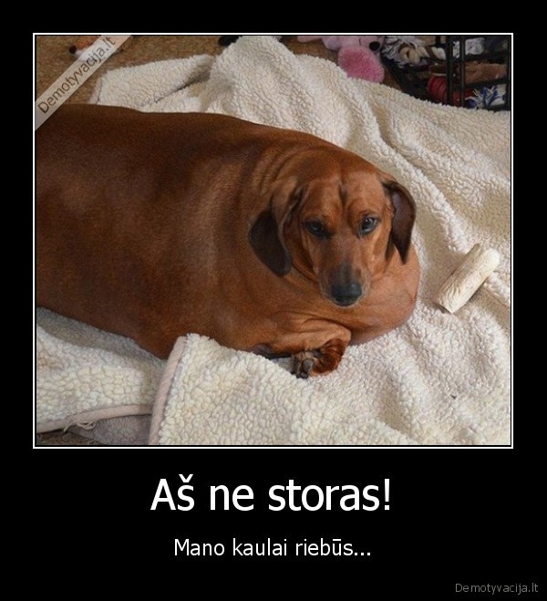 storas, suo,storas, taksas