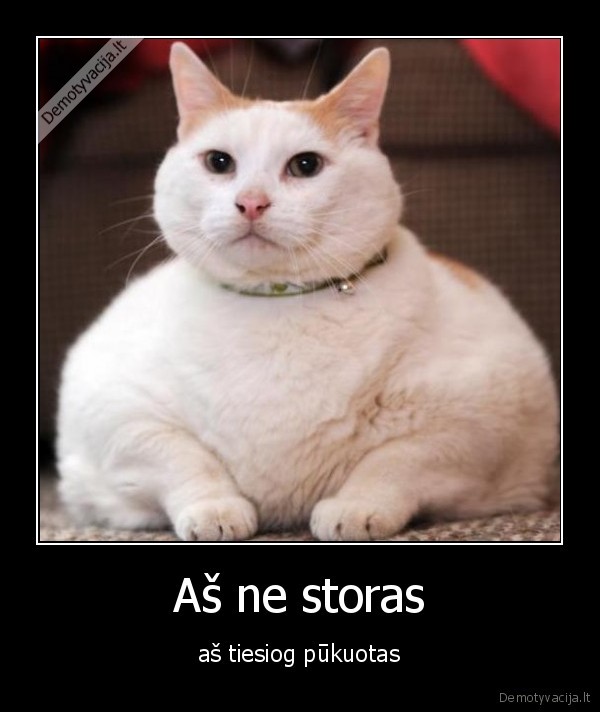 Aš ne storas