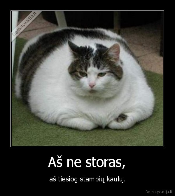 katinukas, storas