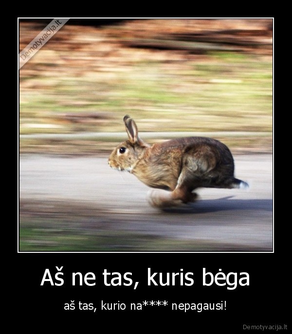 begimas, nepagausi, zuikis, kiskis