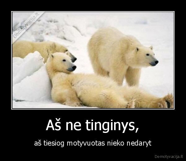 motyvuotas,tinginys